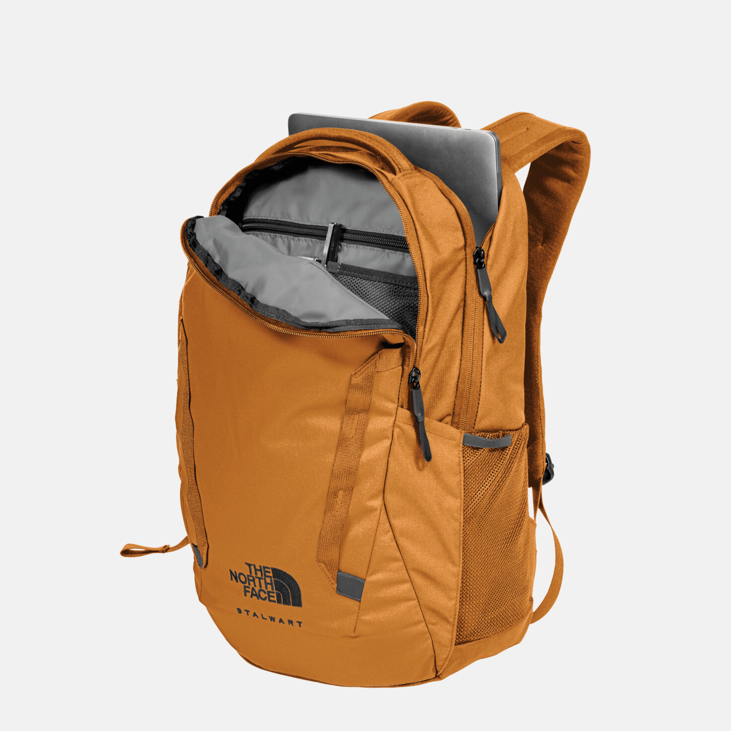 North face backpack tan hotsell