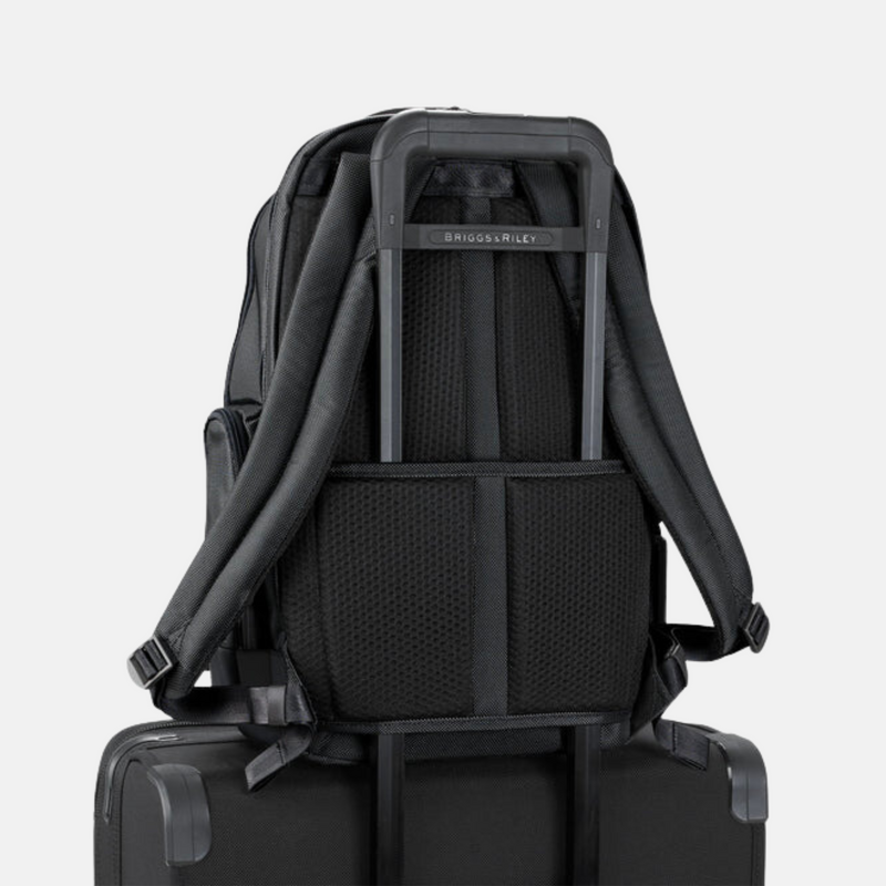 Briggs & Riley Medium Cargo Backpack - Shop BirdieBox