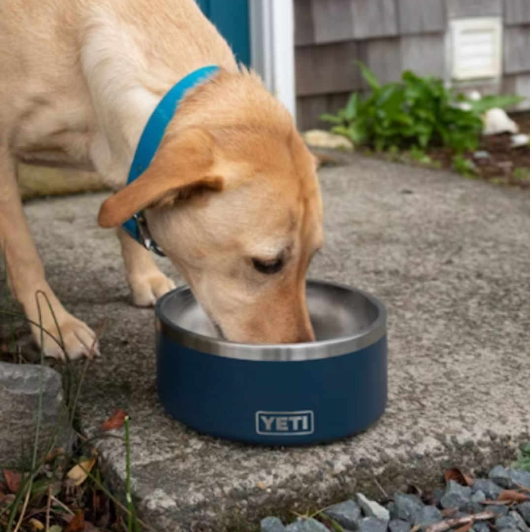 Yeti Dog Bowl