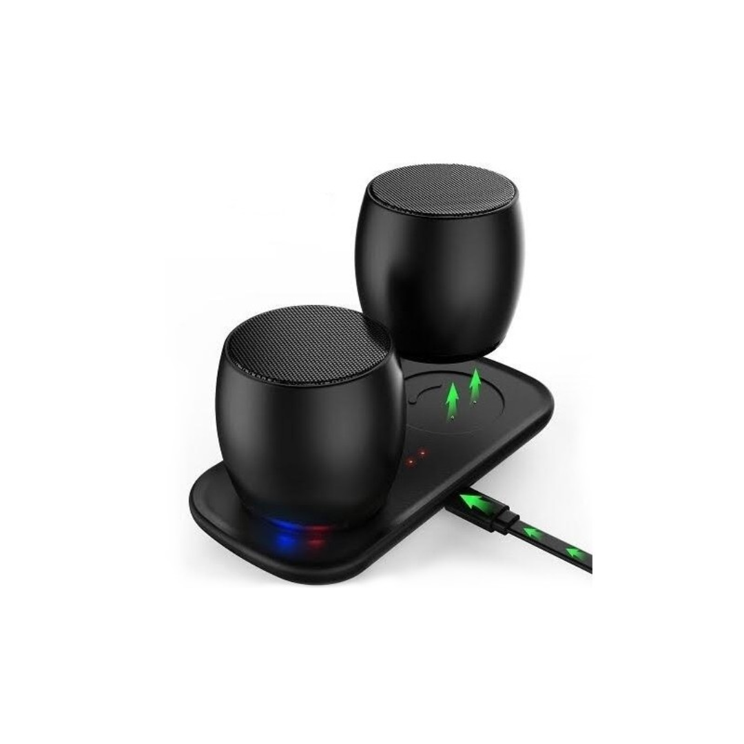 Nano Twins Speakers